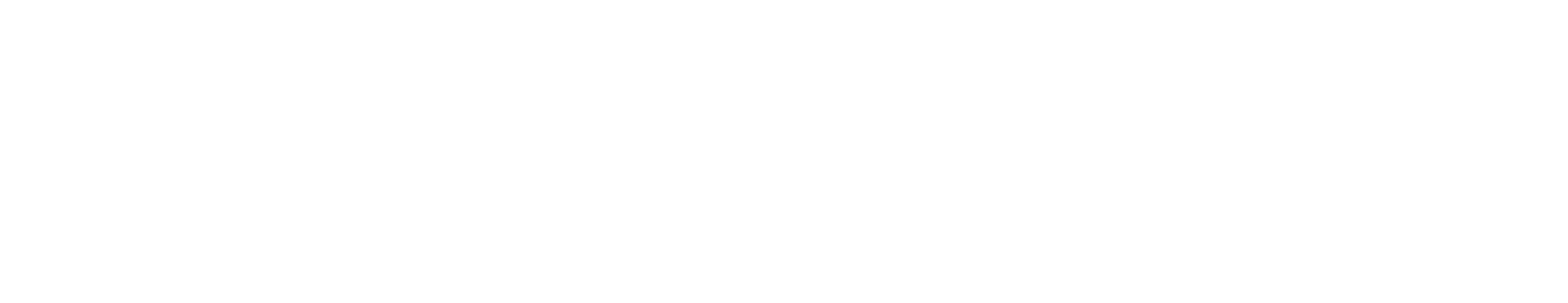 ARTNOIR